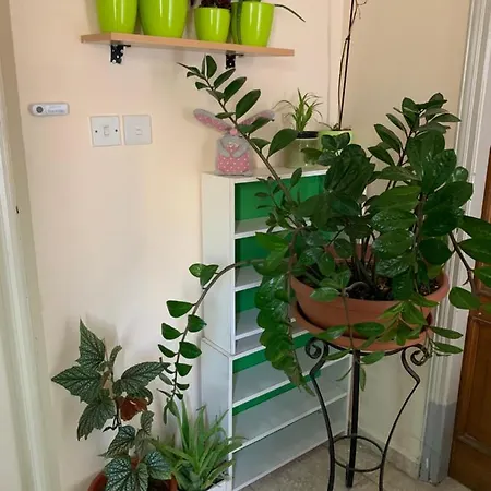 Appartement Mini Penthouse *